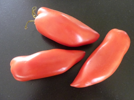 Fichier:Apimientado Op-1.jpg