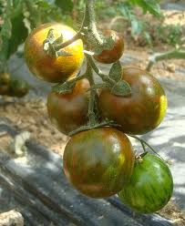 Fichier:Black aisberg cocktail-1.jpg