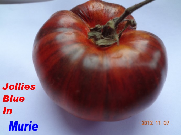 Fichier:Blue In-1.jpg