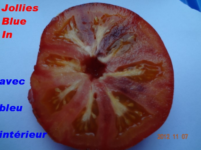 Fichier:Blue In-2.jpg