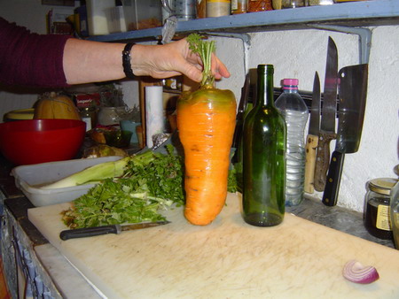 Fichier:CAROTTE de luc.jpg