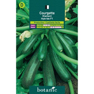 Fichier:COURGETTE diamant-2.jpg