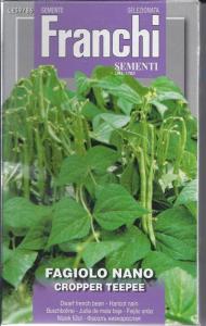 CROPPER TEEPEE-1.jpg