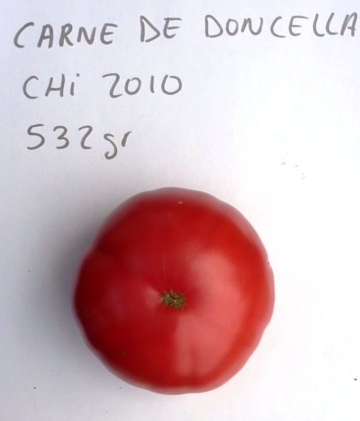 Fichier:Carne de doncella-1.jpg