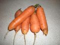 Carotte Muscade-1.jpg
