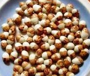 Coco bicolore prolifique-1.jpg