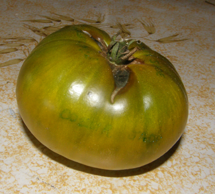 Fichier:Coeur de Jade.jpg