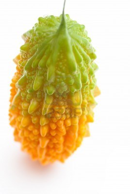 Fichier:Concombre amer-1.jpg