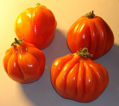 Fichier:Corazón de Buey d'Almàzcara op.jpg