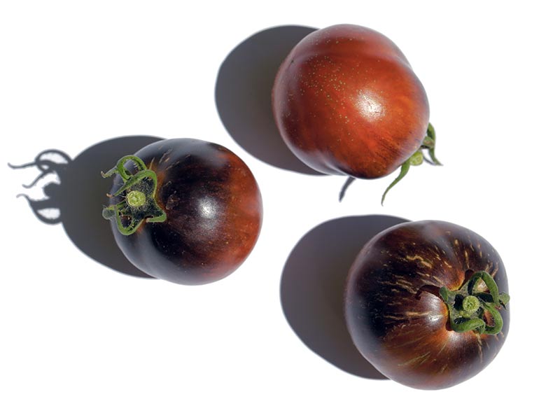 Fichier:Cosmic Eclipse.jpg