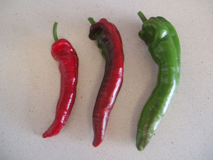 Fichier:Cuerno de cabra.jpg