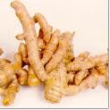 Curcuma-1.jpg