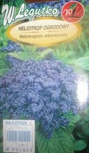 Héliotrope du pérou-1.jpg