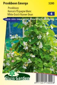 HARICOT A ECOSSER emergo-1.jpg