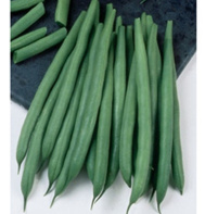 Haricot Mangetout Grenoble-1.jpg