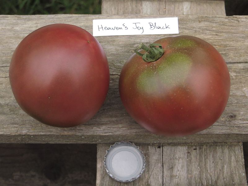 Fichier:Heaven's joy black.jpg