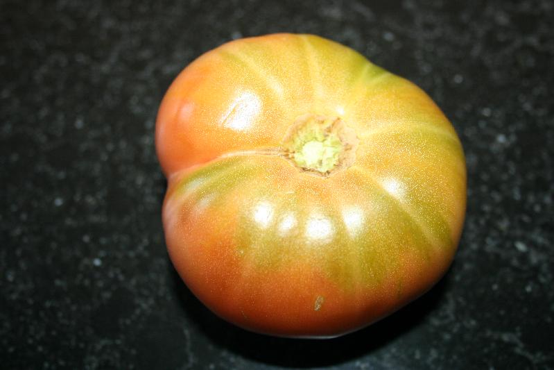 Fichier:Kolb Pink-1.jpg