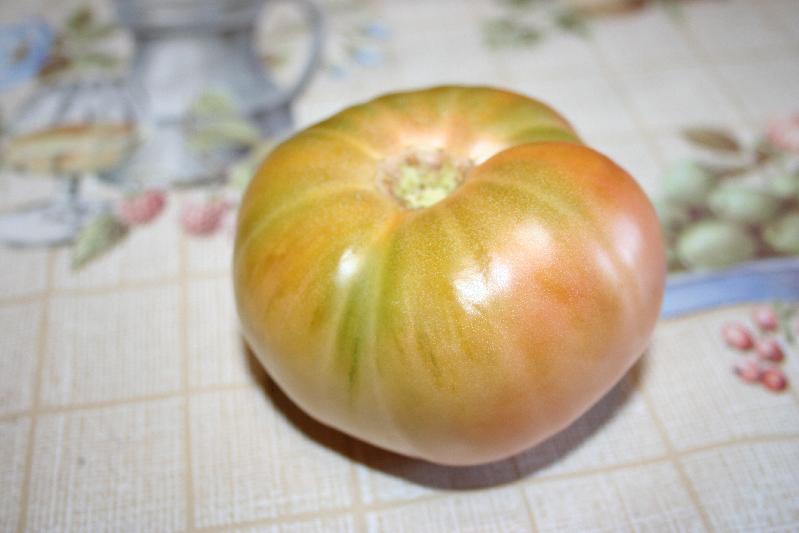 Fichier:Kolb Pink.jpg