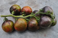 Fichier:L'Extravagante Rouffiange.jpg