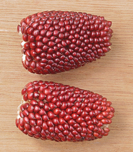 Fichier:Mais fraise.jpg