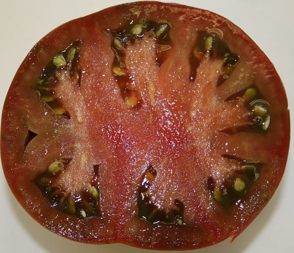 Fichier:Negro de Santiago-1.jpg