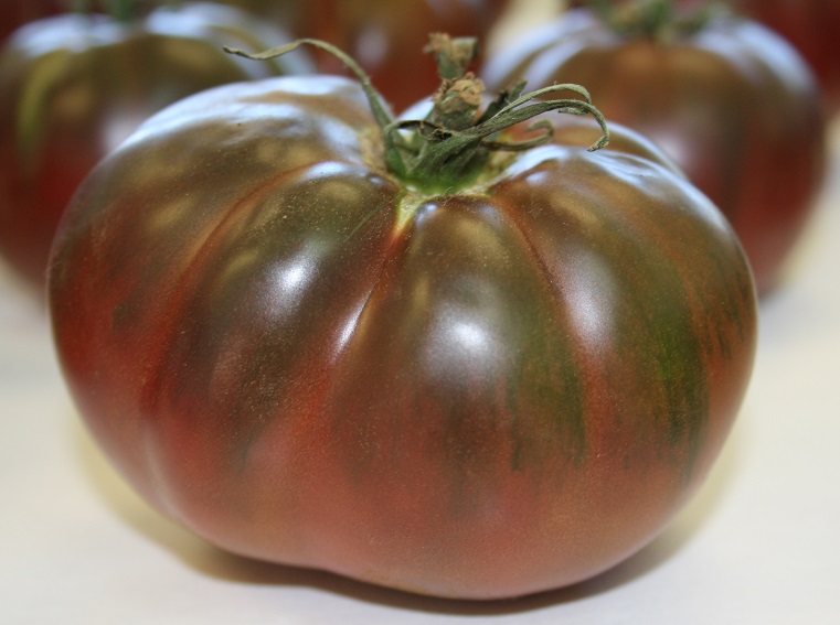 Fichier:Negro de Santiago.jpg