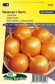 OIGNON rijnsburger-1.jpg