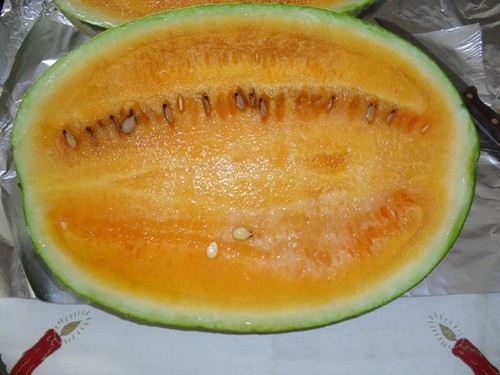 Fichier:PASTEQUE orangeglo-2.jpg