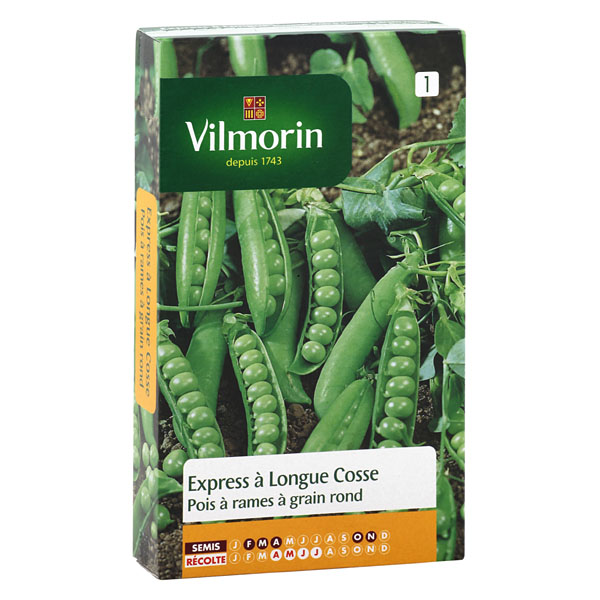 Fichier:PETIT POIS genereux-1.jpg