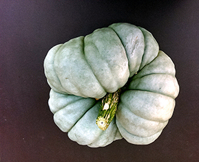 Fichier:POTIRON tristar.jpg