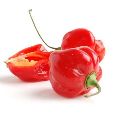 Fichier:Piment habanero rouge-1.jpg