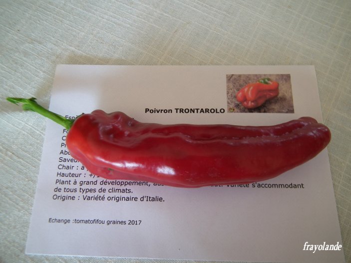 Fichier:Poivron TRONTAROLO.jpg