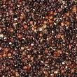 Quinoa noire.jpg