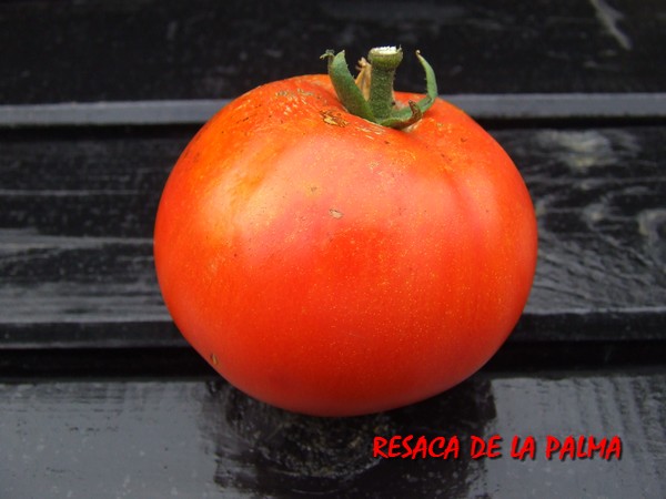 Fichier:Resaca de la palma.jpg