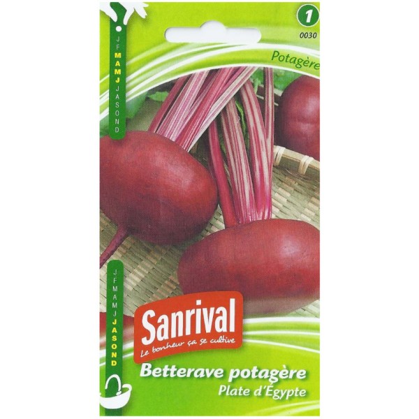 Fichier:Rouge plate d'egypte-2.jpg