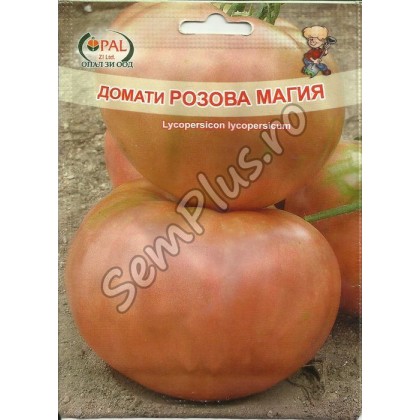 Fichier:Rozova Maghia.jpg