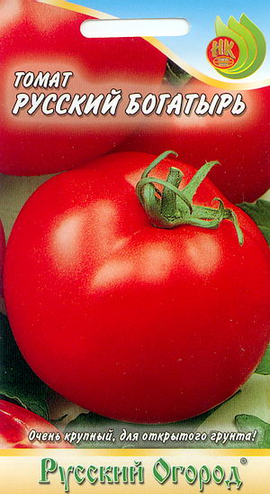 Fichier:Russia bogatyr-1.jpg