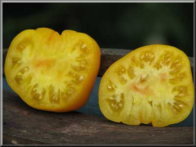 Fichier:ST VINCENT-2.jpg