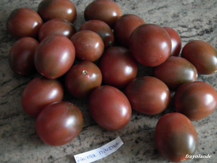 Fichier:Sinister Minister.jpg