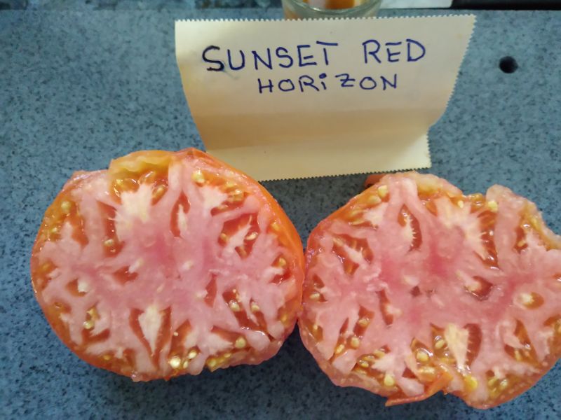 Fichier:Sunset's Red Horizon-2.jpg