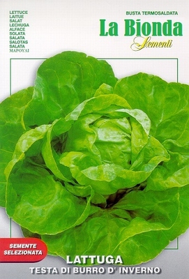 Fichier:Testa di Burro d'Inverno-1.jpg