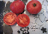 Tomate Burpee Fordhook First-1.jpg