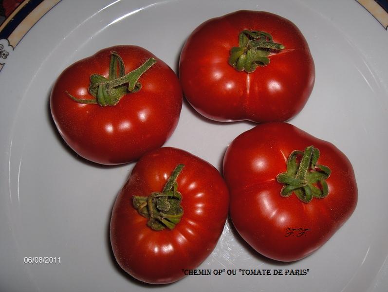 Fichier:Tomate Chemin OP-2.jpg