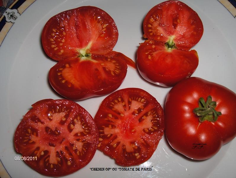 Fichier:Tomate Chemin OP.jpg