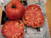 Tomate Hege German Pink-1.jpg