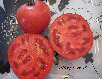 Tomate Ultra Sweet-1.jpg