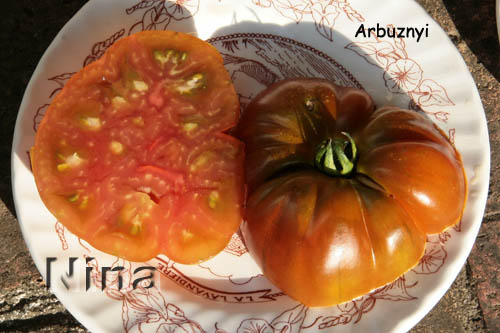 Fichier:Tomate arbuznyi.jpg