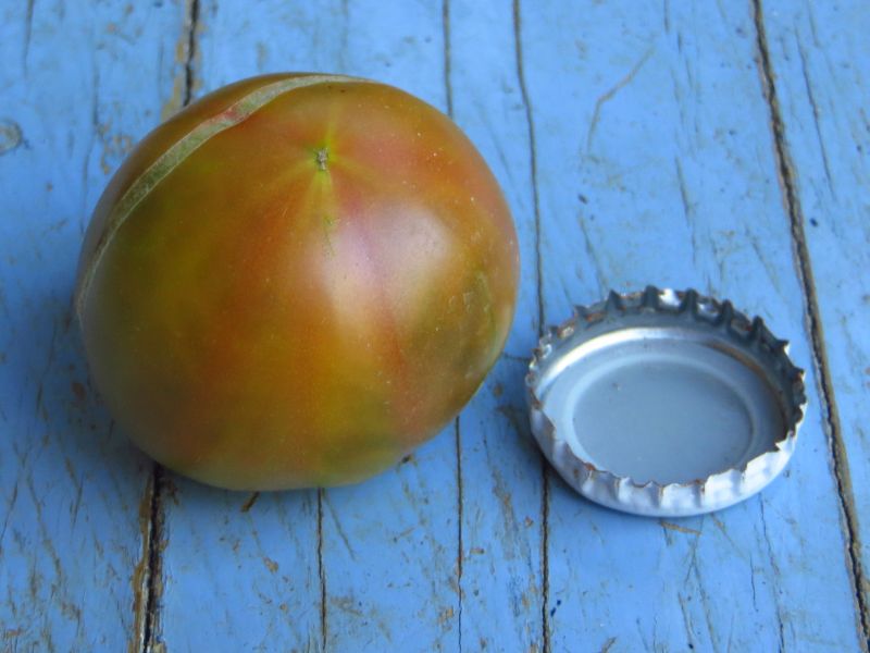 Fichier:Tomate aunt ruby"s german cherry.jpg