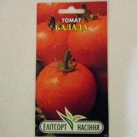 Tomate ballada-1.jpg