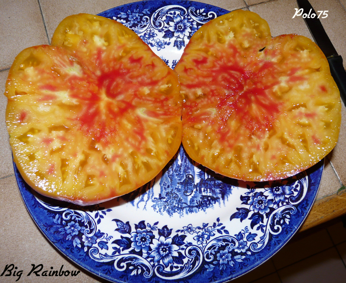 Fichier:Tomate big rainbow op-1.jpg